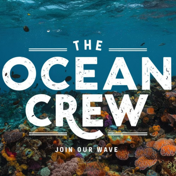 Welcome to The Ocean Crew: A Sanctuary for Ocean Lovers